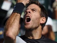 南宫-费德勒新星高光表现表现惊艳，C9未来可期！的简单介绍