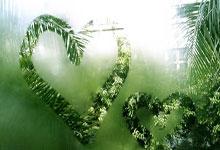 NG28- 拜仁慕尼黑发布备战花絮；转会期伤情更新；欧超杯任务艰巨；团队化学反应显著